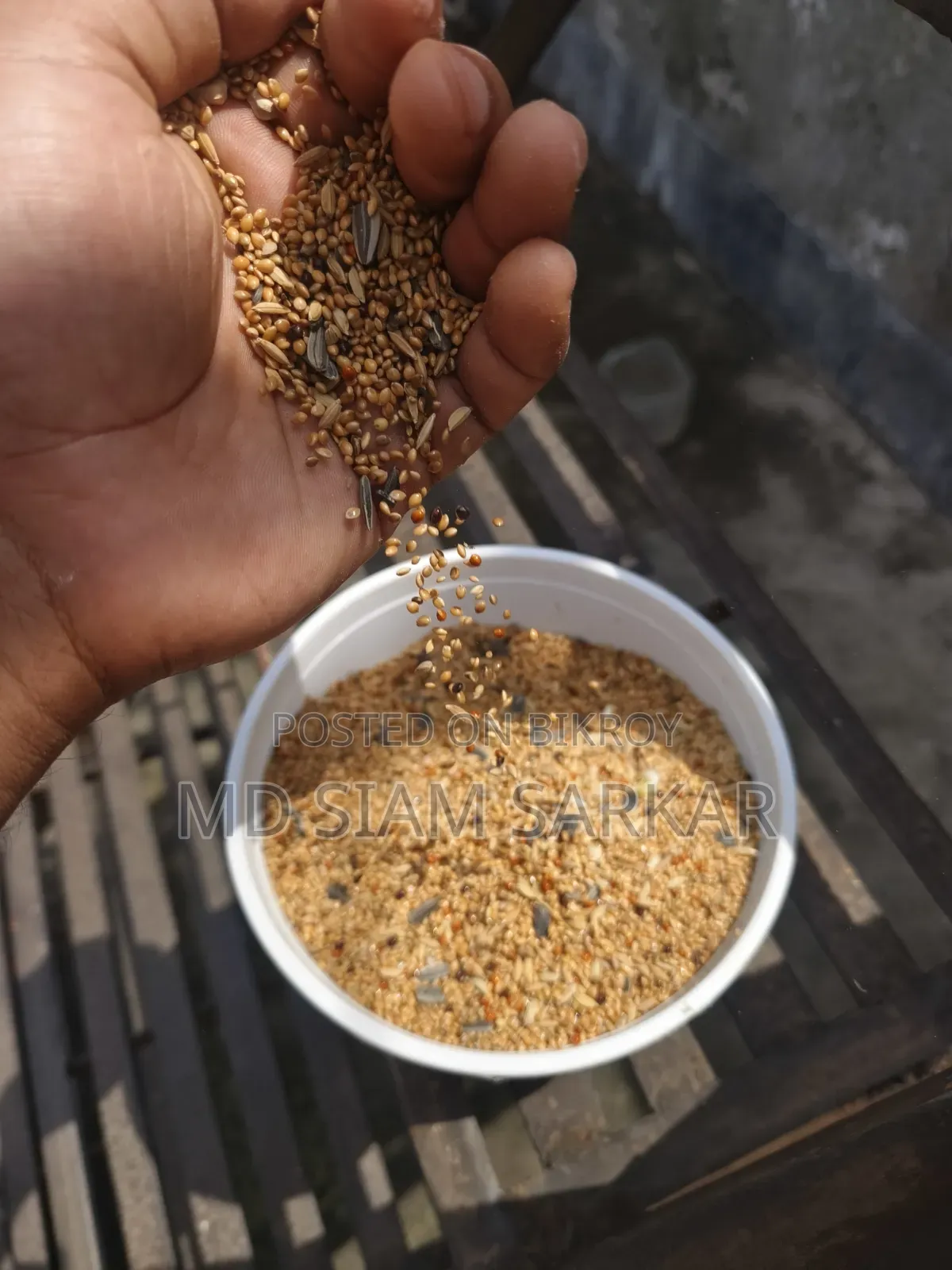 বাজরিগার পাখির খাবার