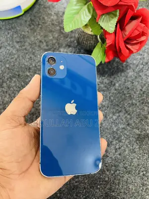 Apple iPhone 12 256 GB Blue
