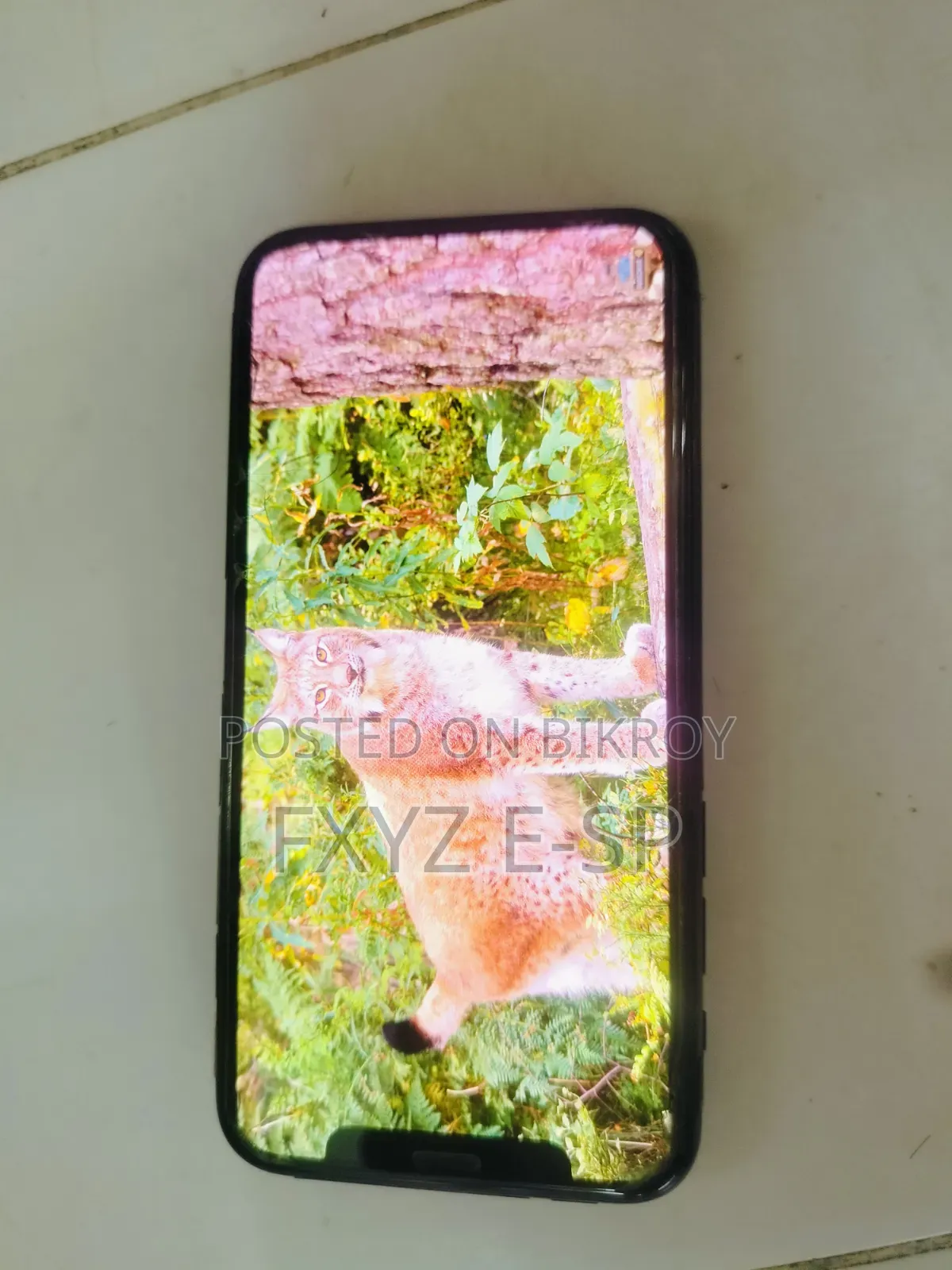 অ্যাপল আইফোন ১১ প্রো ২৫৬ জিবি গ্রিন