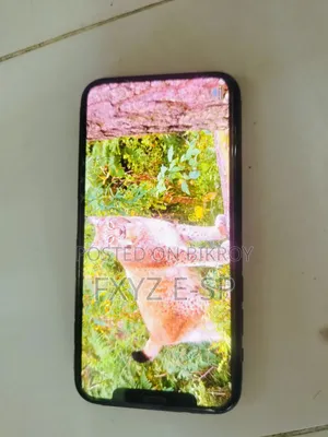অ্যাপল আইফোন ১১ প্রো ২৫৬ জিবি গ্রিন
