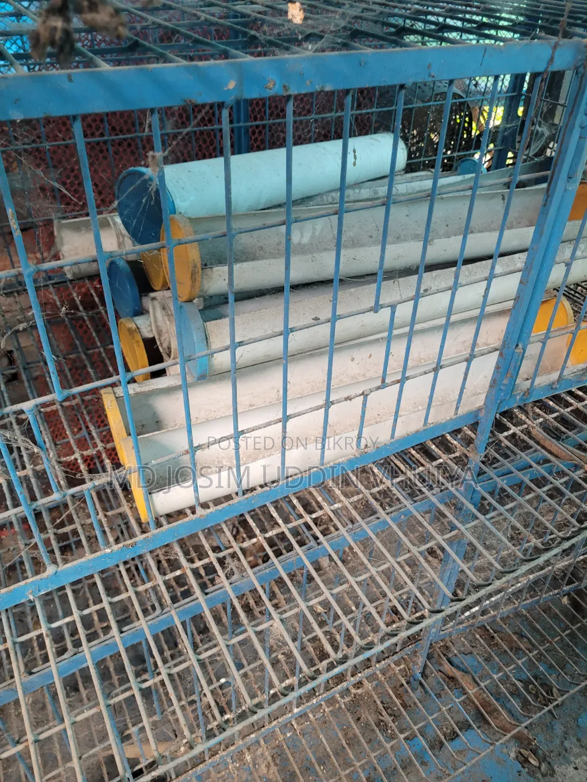 কবুতর, মুরগীর খাঁচা