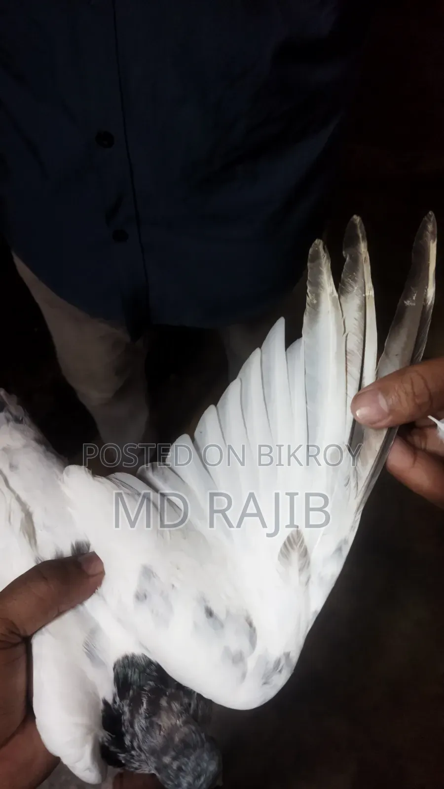 ২ টা বাচ্চা