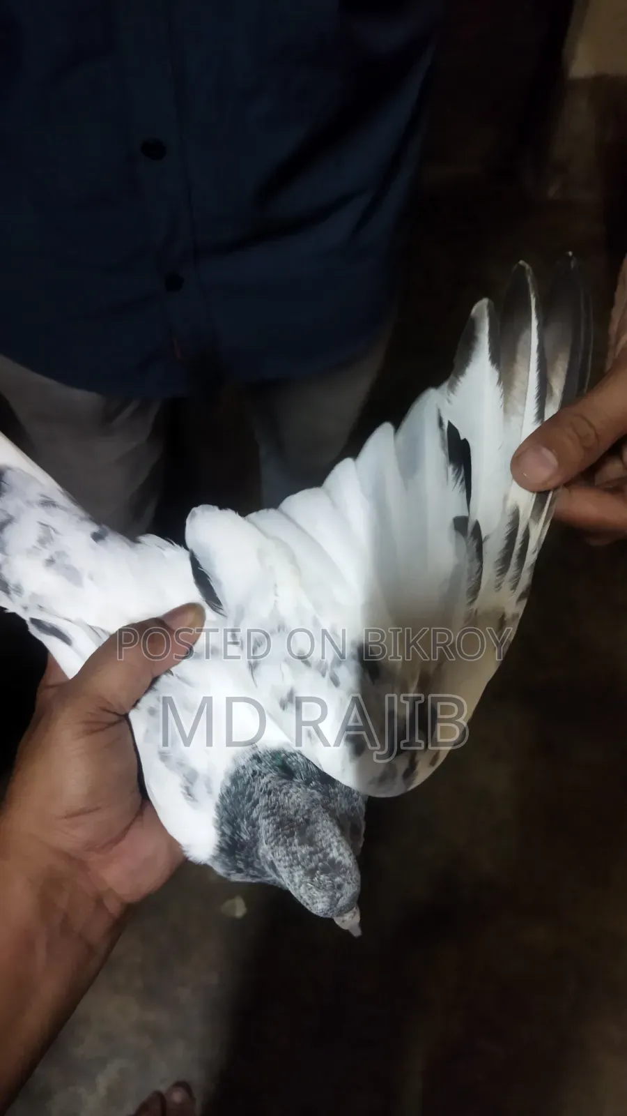 ২ টা বাচ্চা
