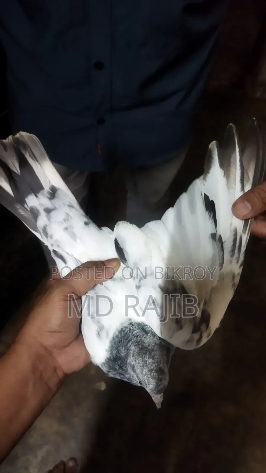 ২ টা বাচ্চা