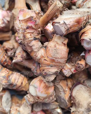 Thai Galanga