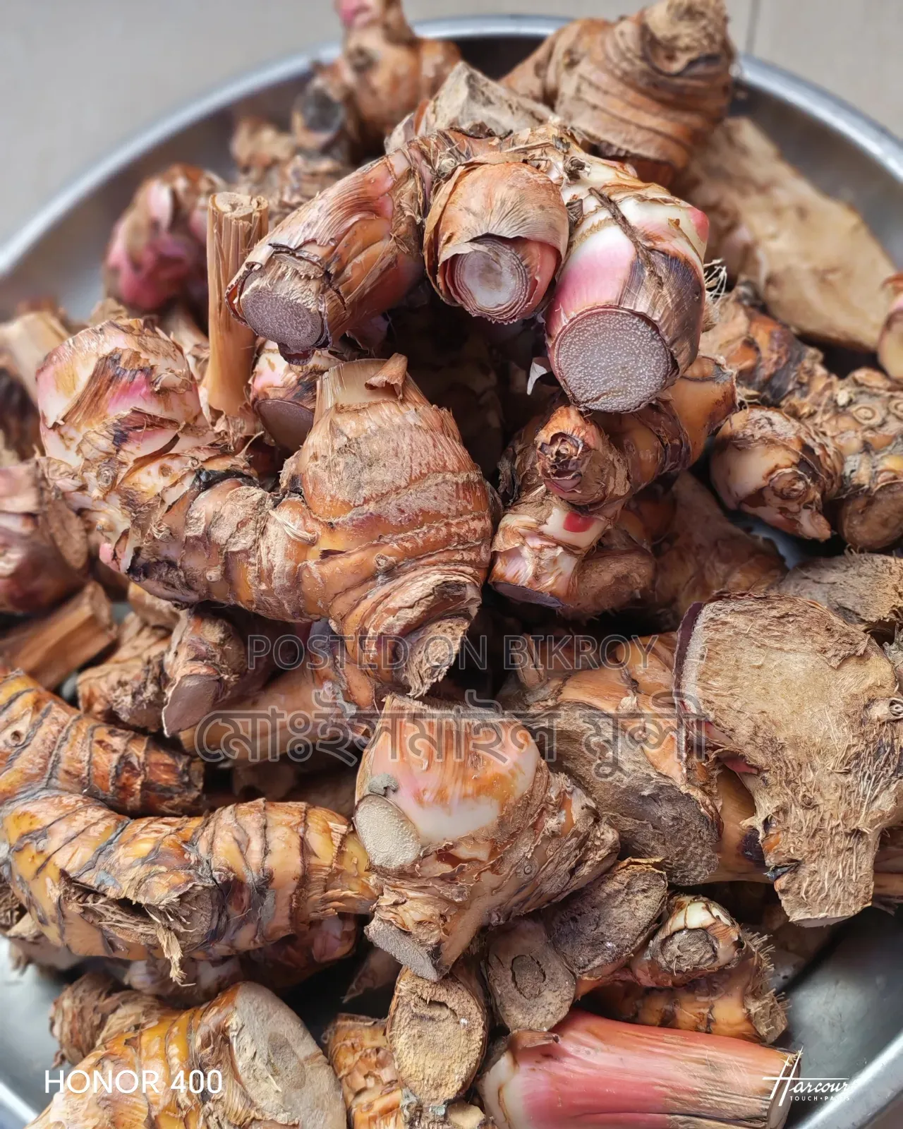 Thai Galanga