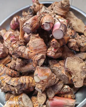 Thai Galanga