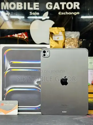 Apple iPad Pro 11 (2024) 256 GB Gray
