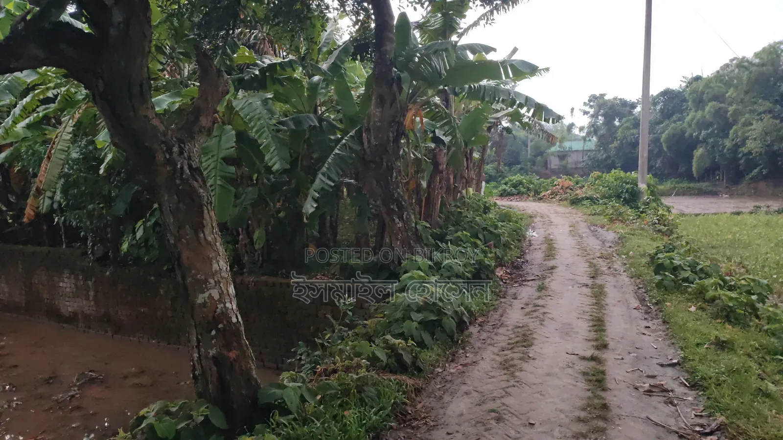 6 Decimal Land for Sale | Total Price