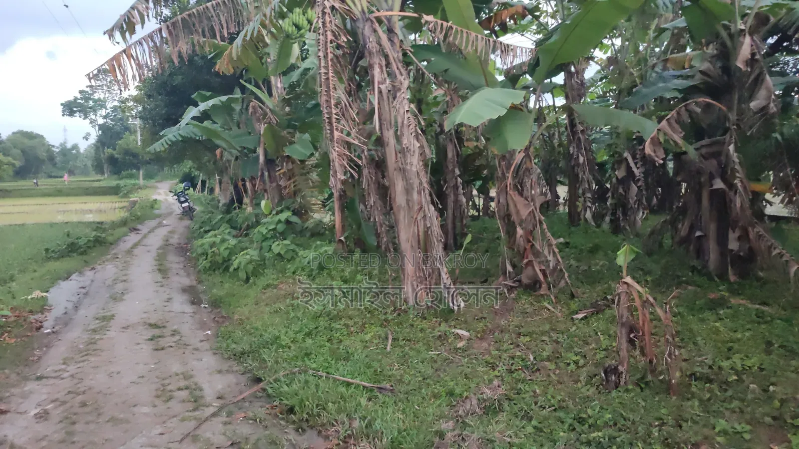 6 Decimal Land for Sale | Total Price