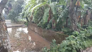 6 Decimal Land for Sale | Total Price