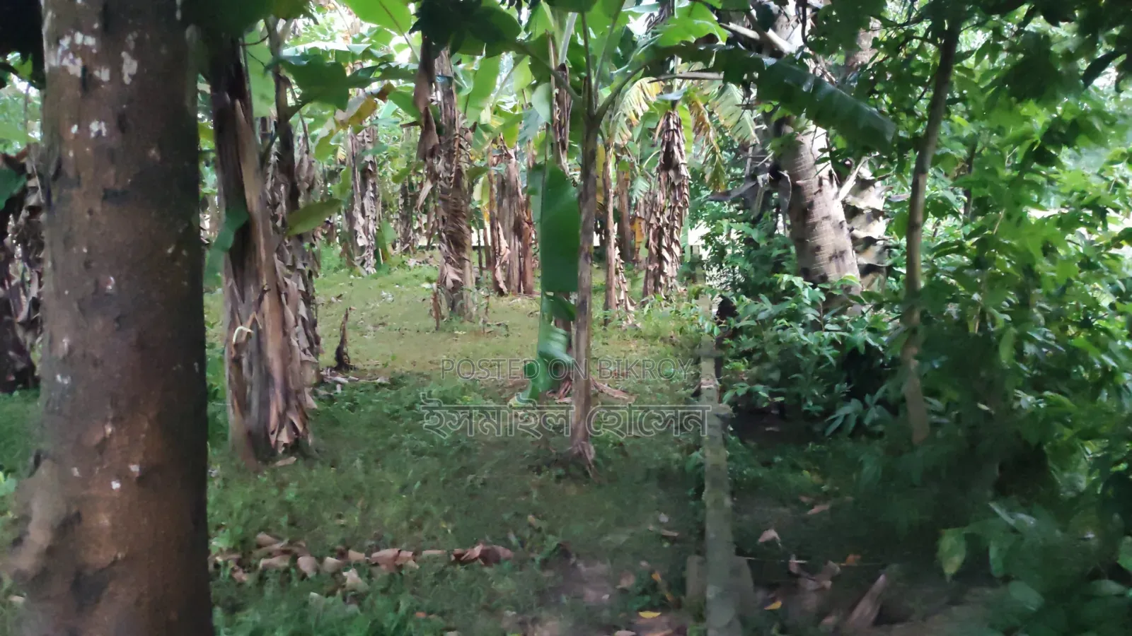 6 Decimal Land for Sale | Total Price