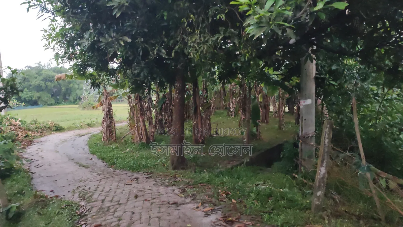 6 Decimal Land for Sale | Total Price