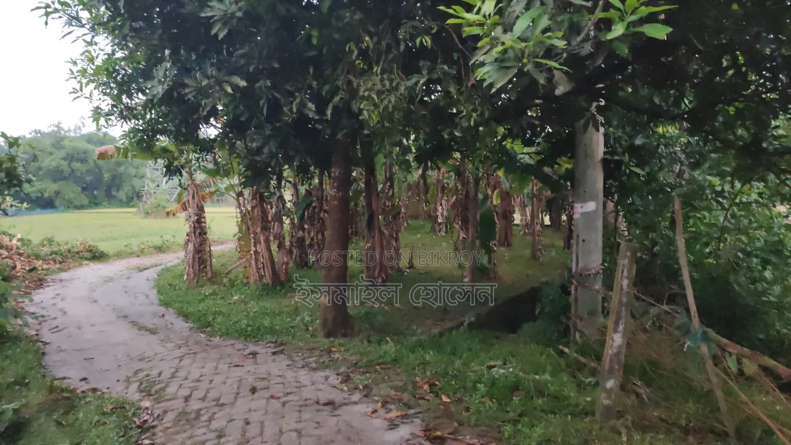 6 Decimal Land for Sale | Total Price