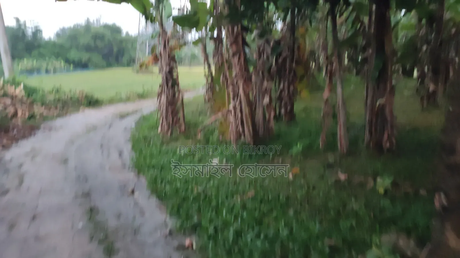 6 Decimal Land for Sale | Total Price