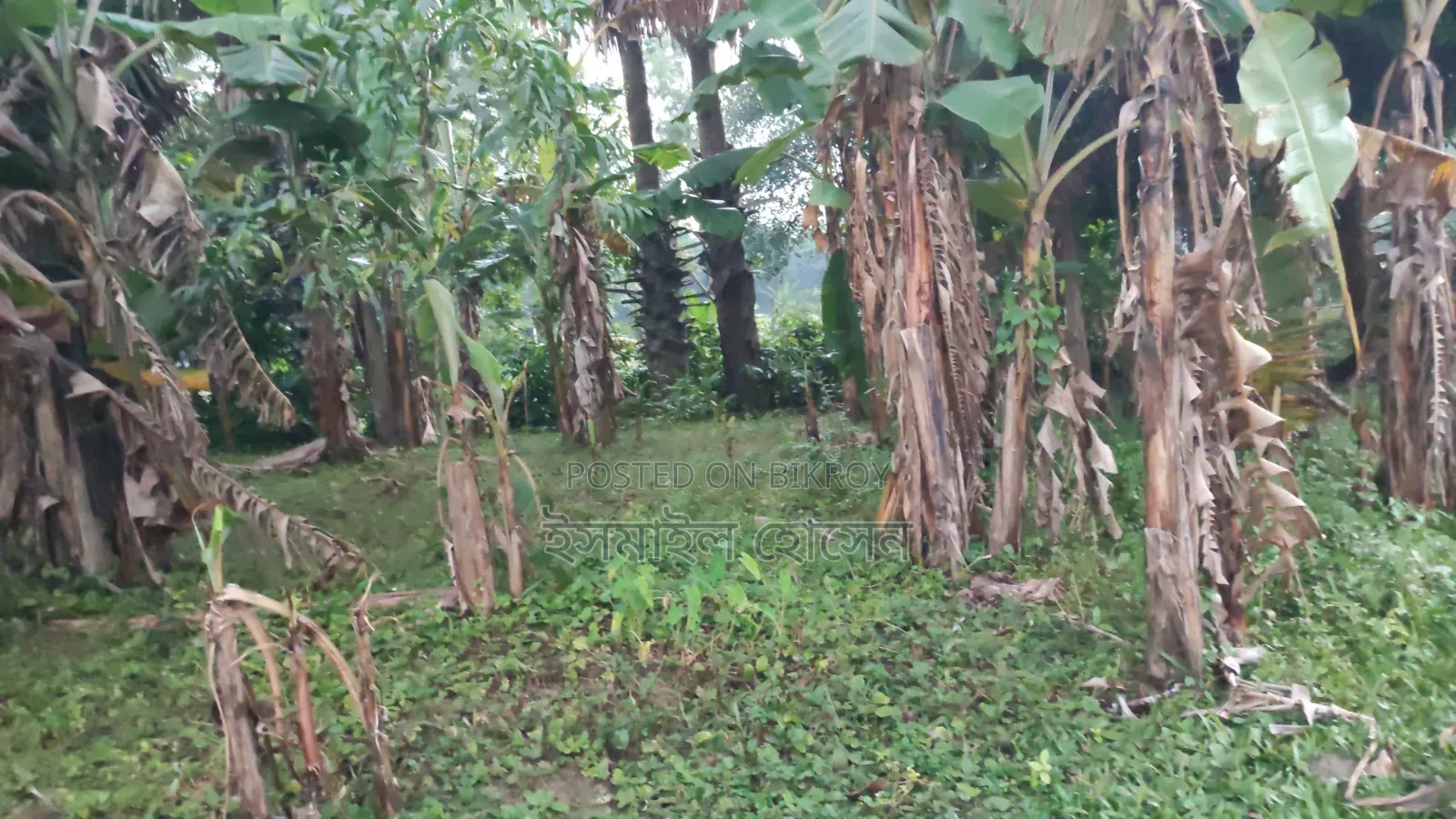 6 Decimal Land for Sale | Total Price
