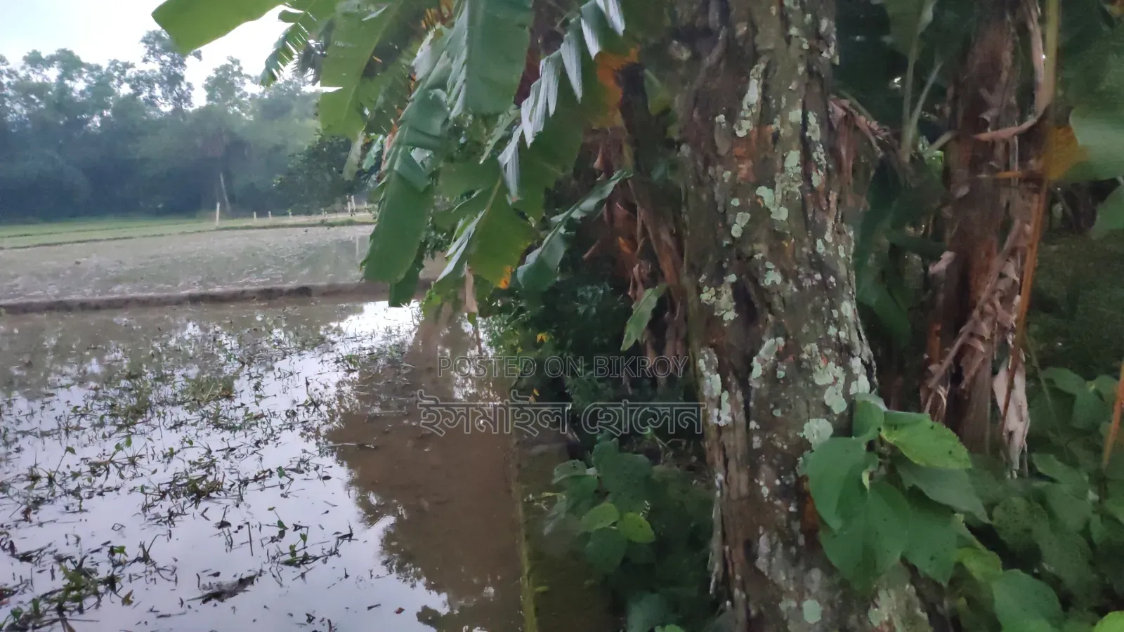6 Decimal Land for Sale | Total Price