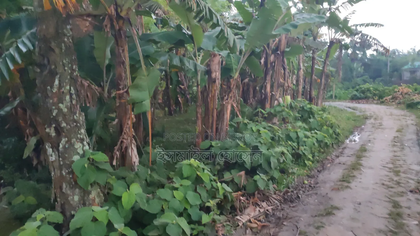 6 Decimal Land for Sale | Total Price