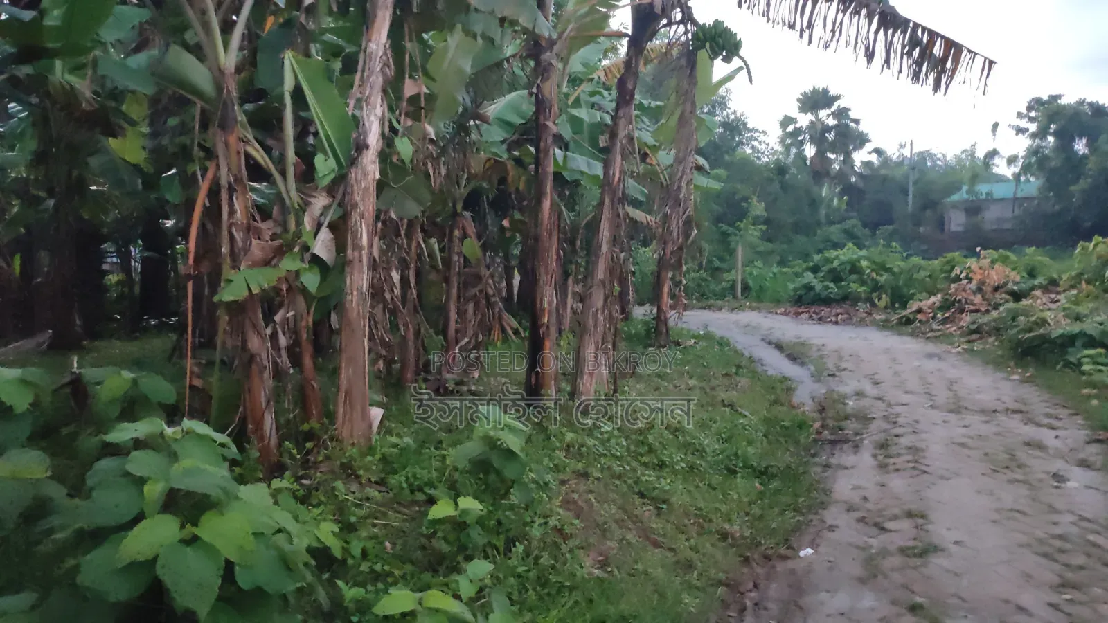 6 Decimal Land for Sale | Total Price