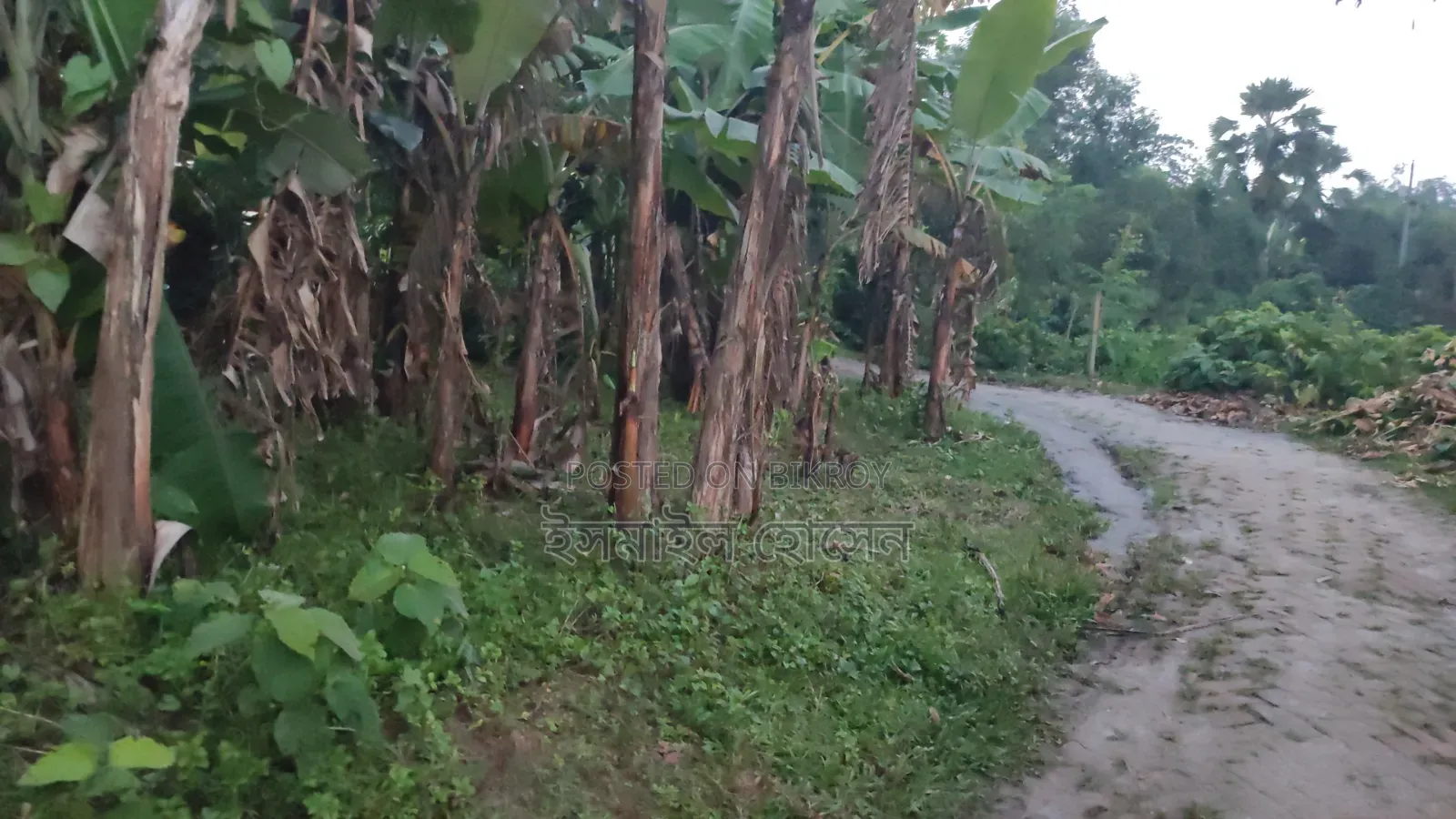 6 Decimal Land for Sale | Total Price