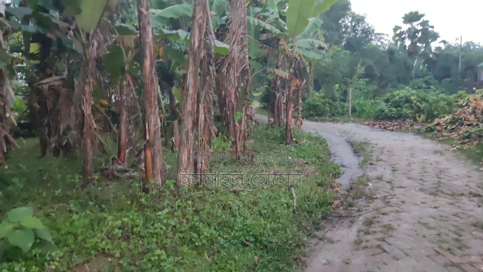 6 Decimal Land for Sale | Total Price