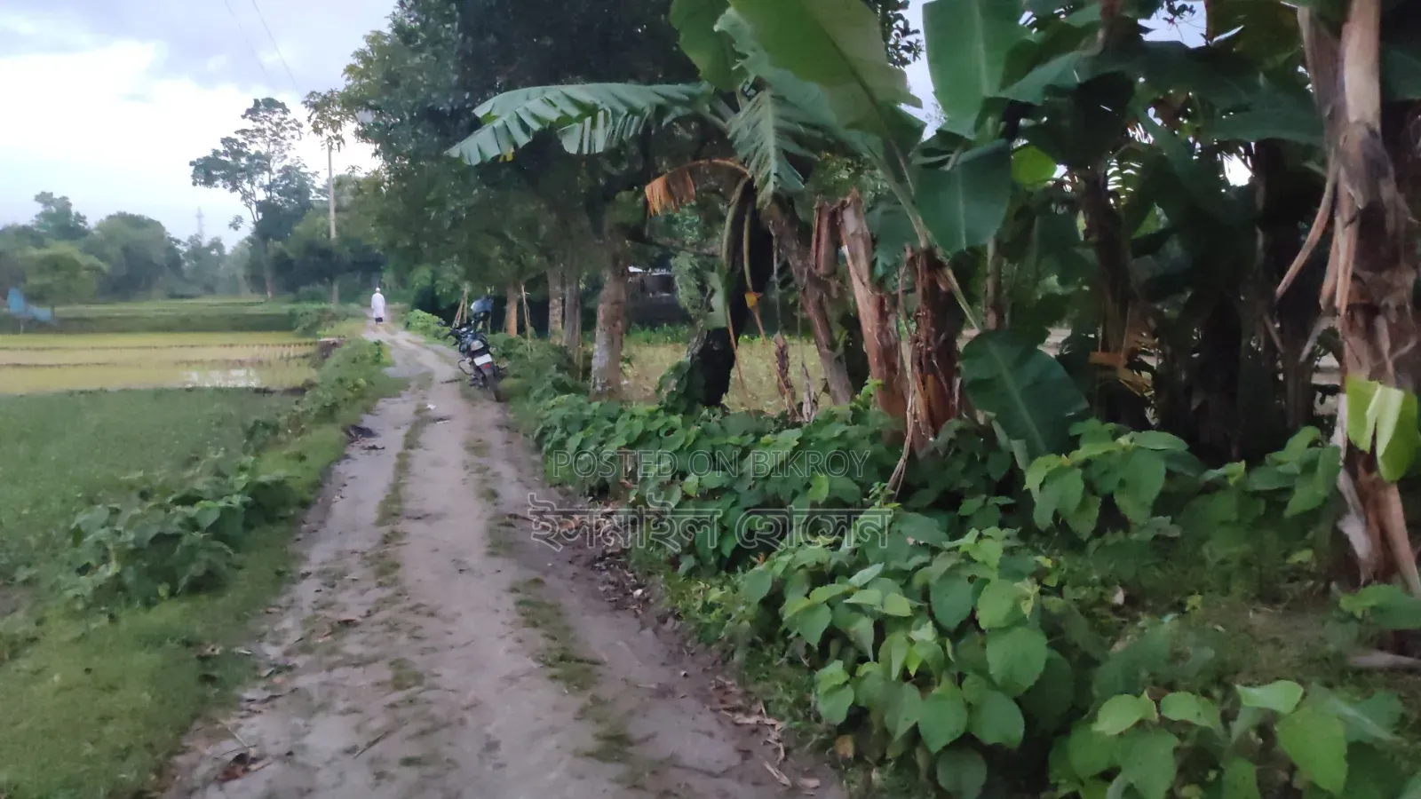 6 Decimal Land for Sale | Total Price