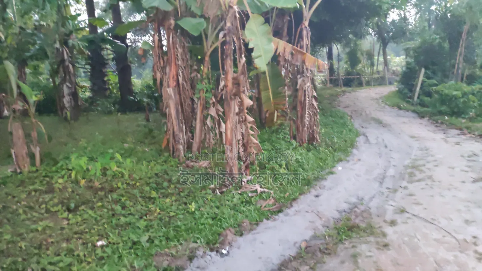 6 Decimal Land for Sale | Total Price