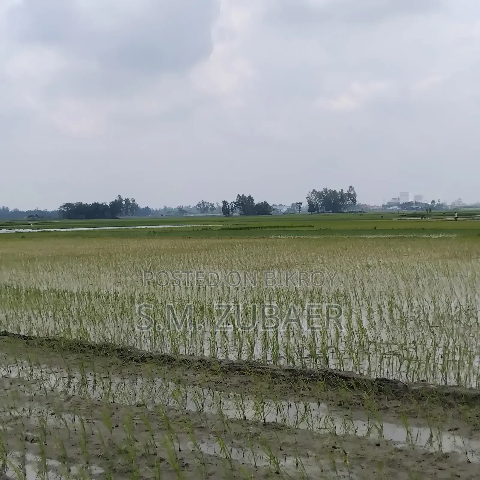 কৃষি, চাষাবাদ, শিল্প জমি