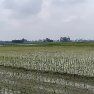 কৃষি, চাষাবাদ, শিল্প জমি