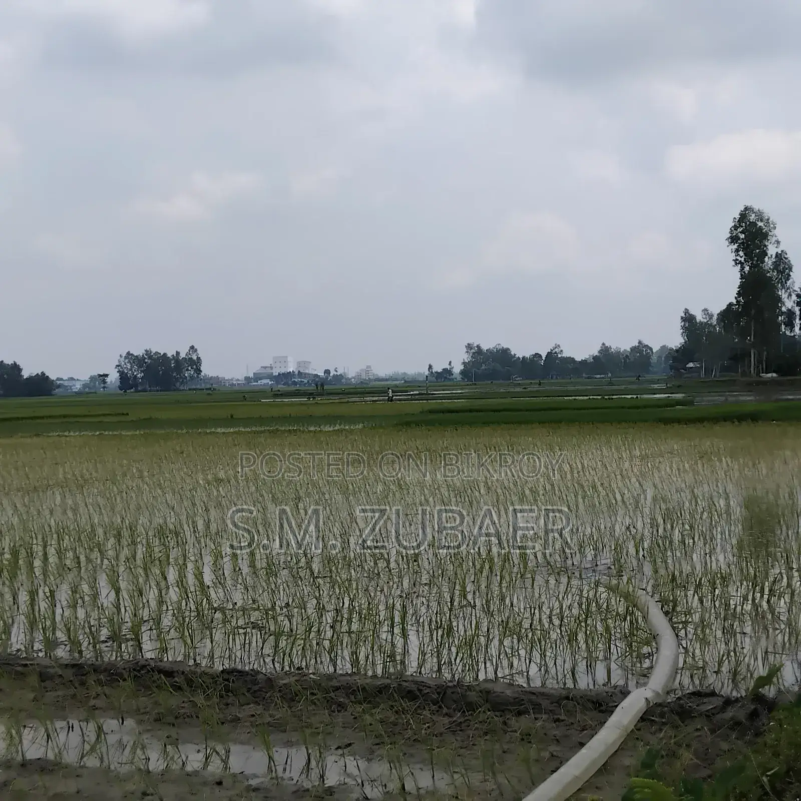 কৃষি, চাষাবাদ, শিল্প জমি