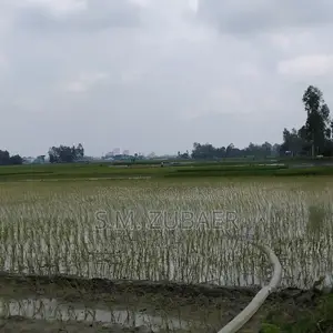 কৃষি, চাষাবাদ, শিল্প জমি