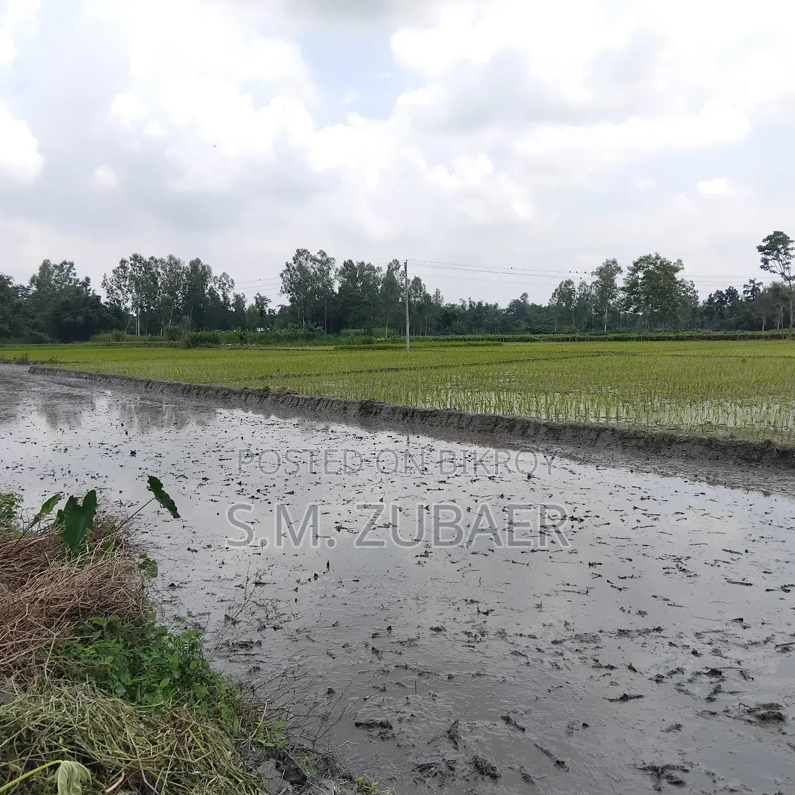 কৃষি, চাষাবাদ, শিল্প জমি