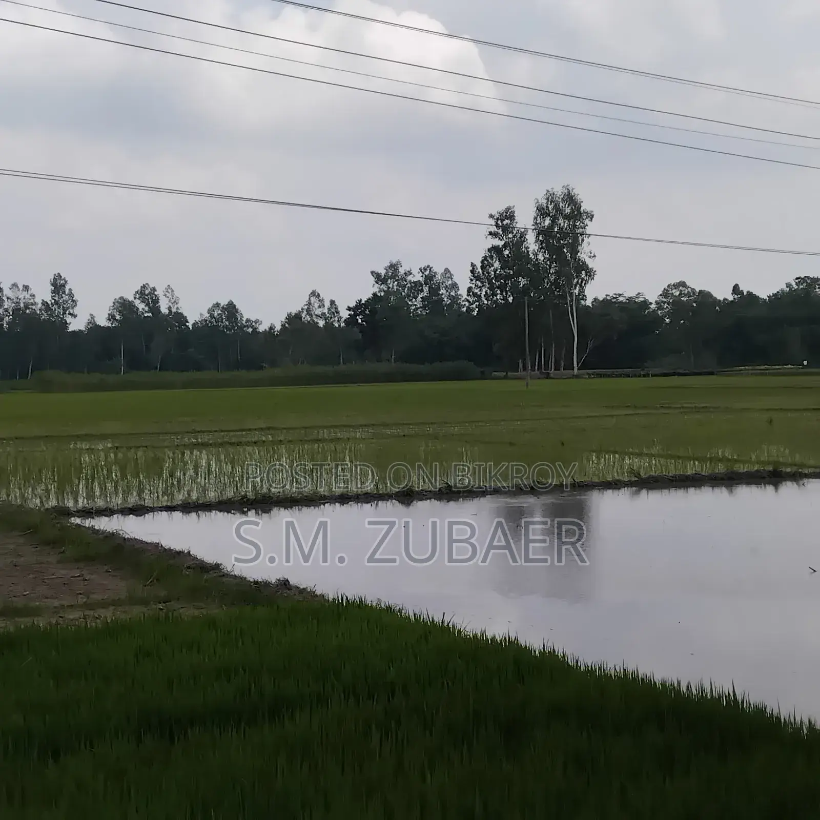 কৃষি, চাষাবাদ, শিল্প জমি