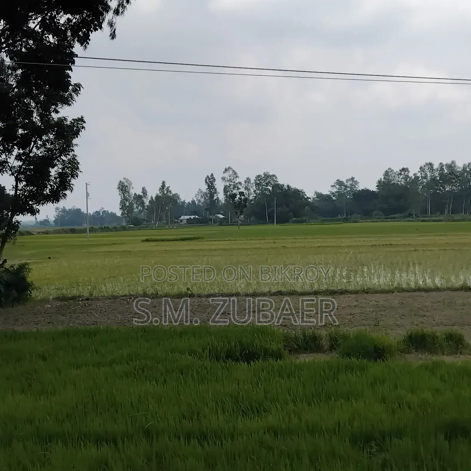 কৃষি, চাষাবাদ, শিল্প জমি