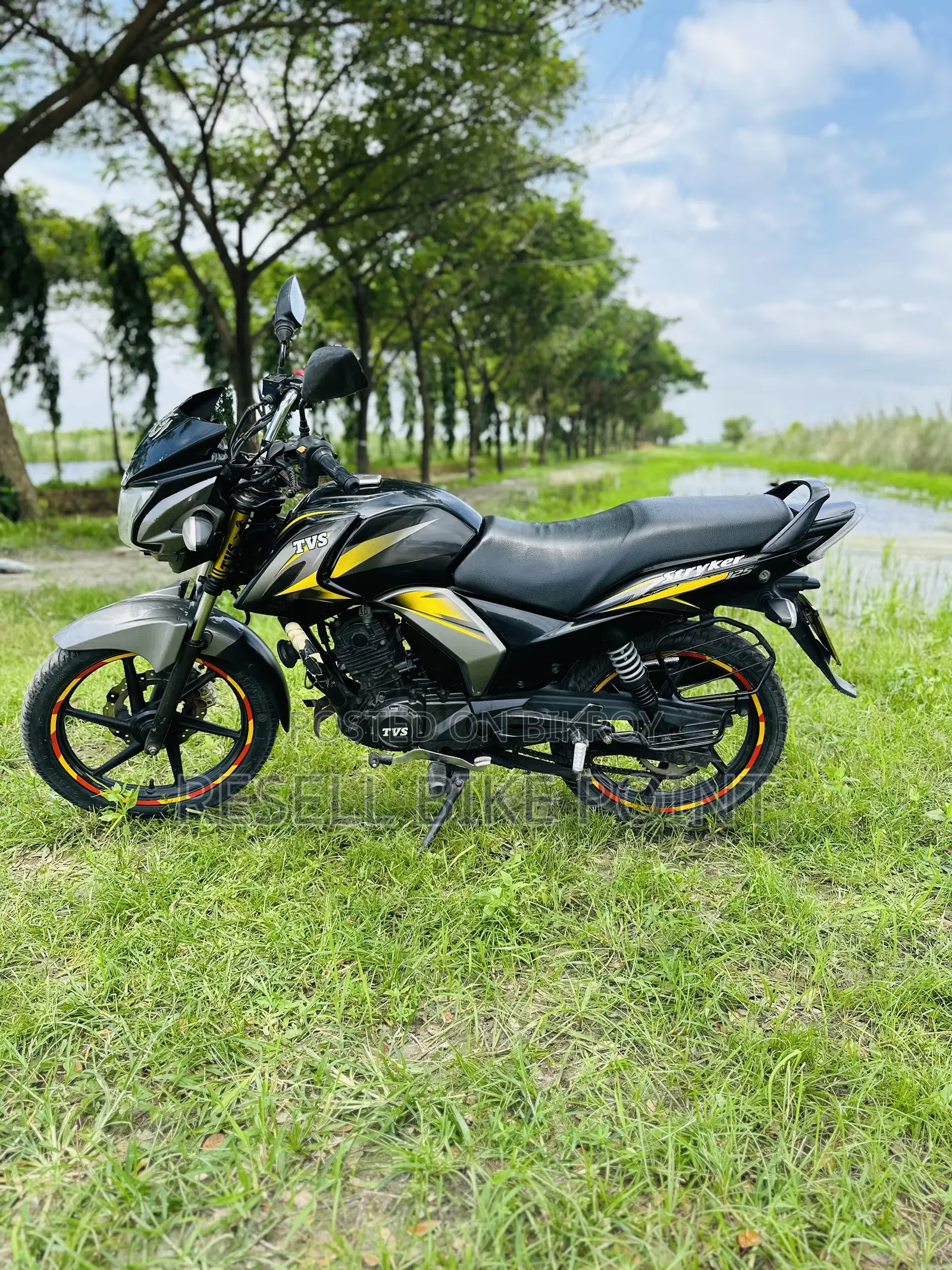 TVS Stryker 125 2023 Yellow