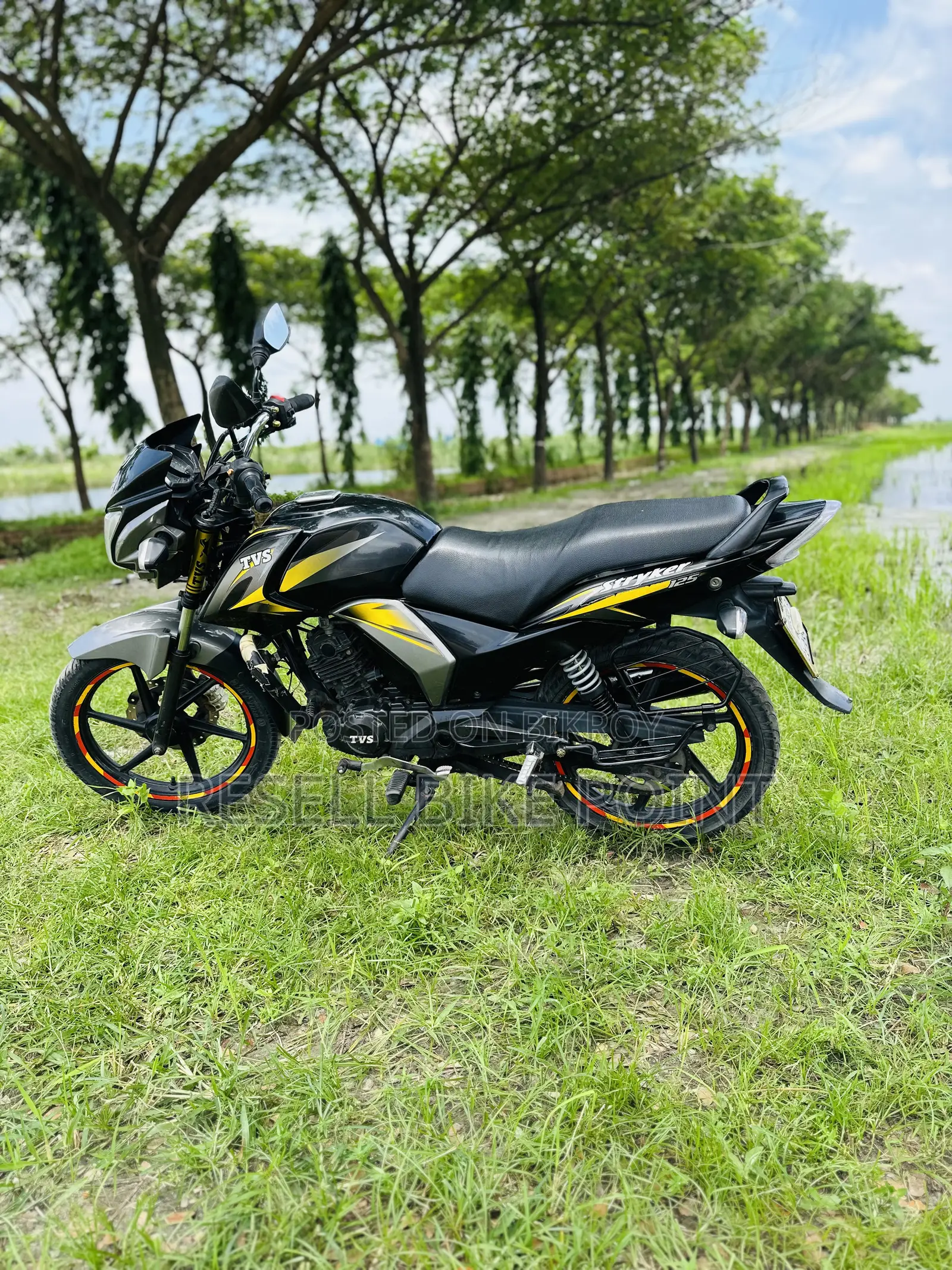 TVS Stryker 125 2023 Yellow