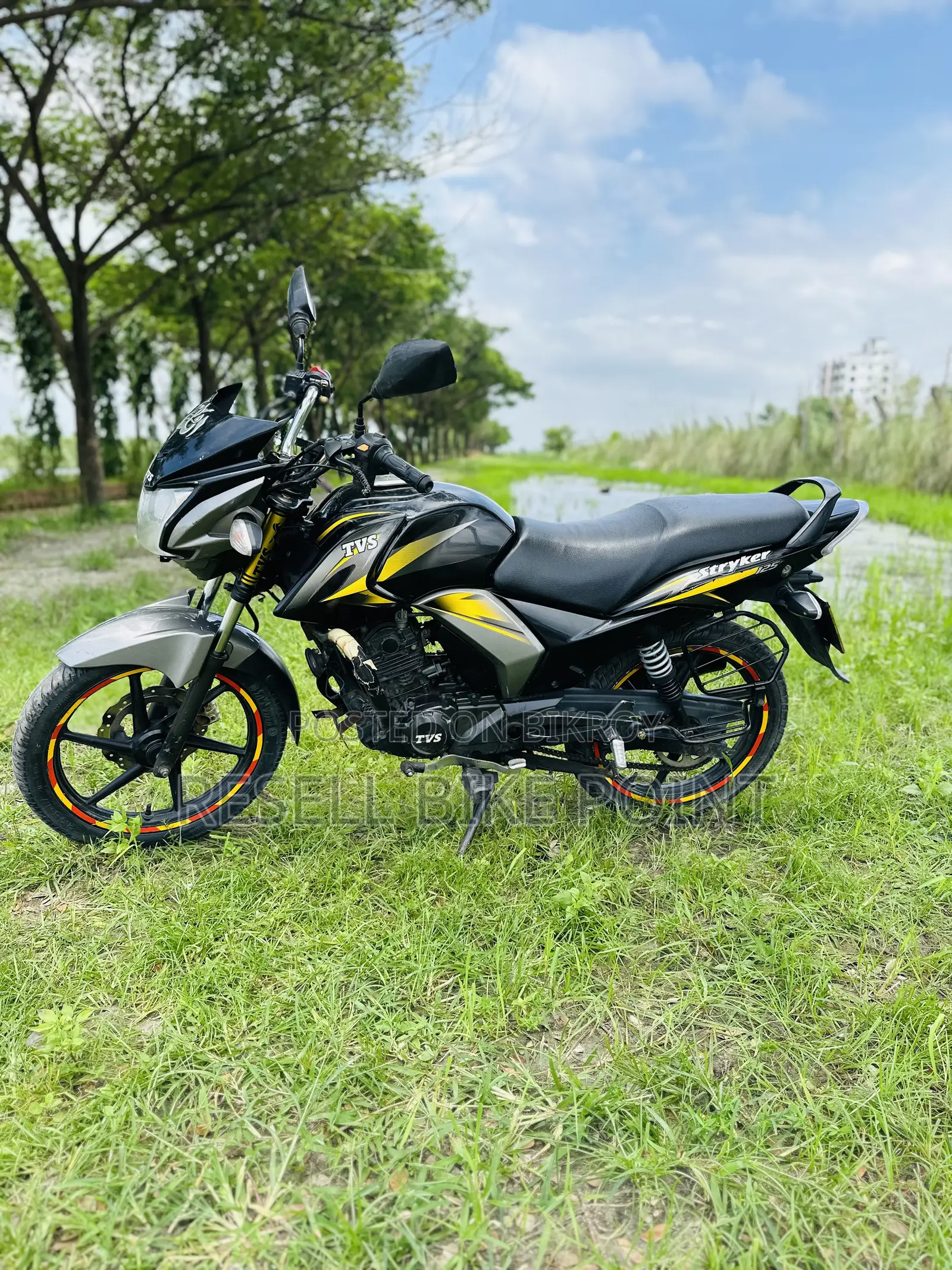 TVS Stryker 125 2023 Yellow