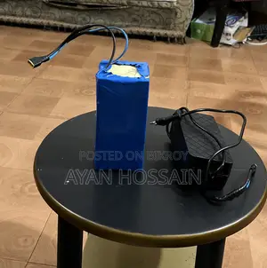ইলেকট্রিক সাইকেল লিথিয়াম ফসফেট ব্যাটারি উইথ চার্জার