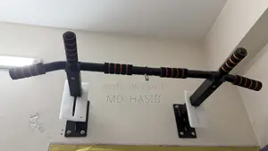 ওয়াল মাউন্টেড পুল আপ বার