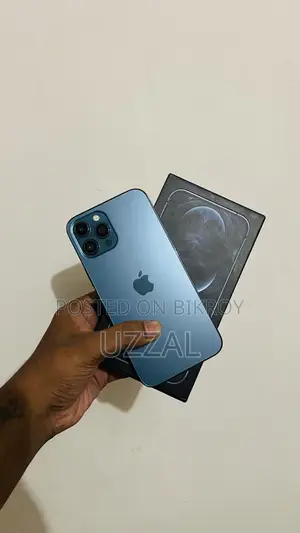 Apple iPhone 12 Pro Max 256 GB Blue