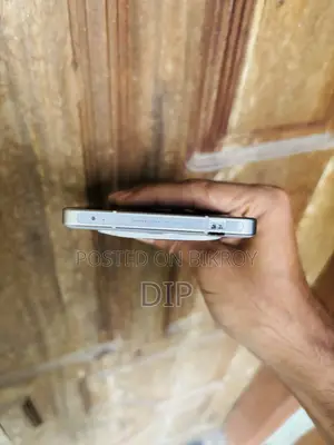 নিউ ভিভো এক্স১০০ প্রো ২৫৬ জিবি সিলভার
