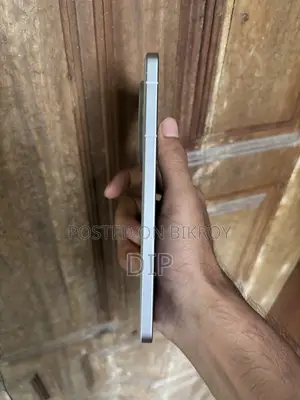 নিউ ভিভো এক্স১০০ প্রো ২৫৬ জিবি সিলভার