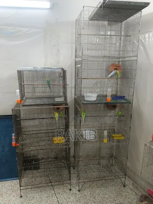 Budgerigar birds with cage