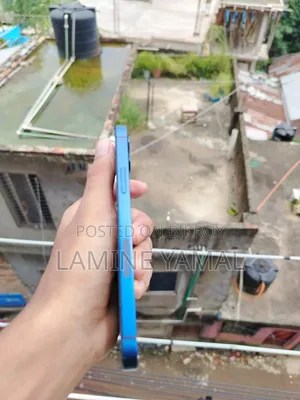 অ্যাপল আইফোন ১২ ৬৪ জিবি নীল