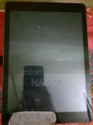 Apple iPad Air 16 GB Gray
