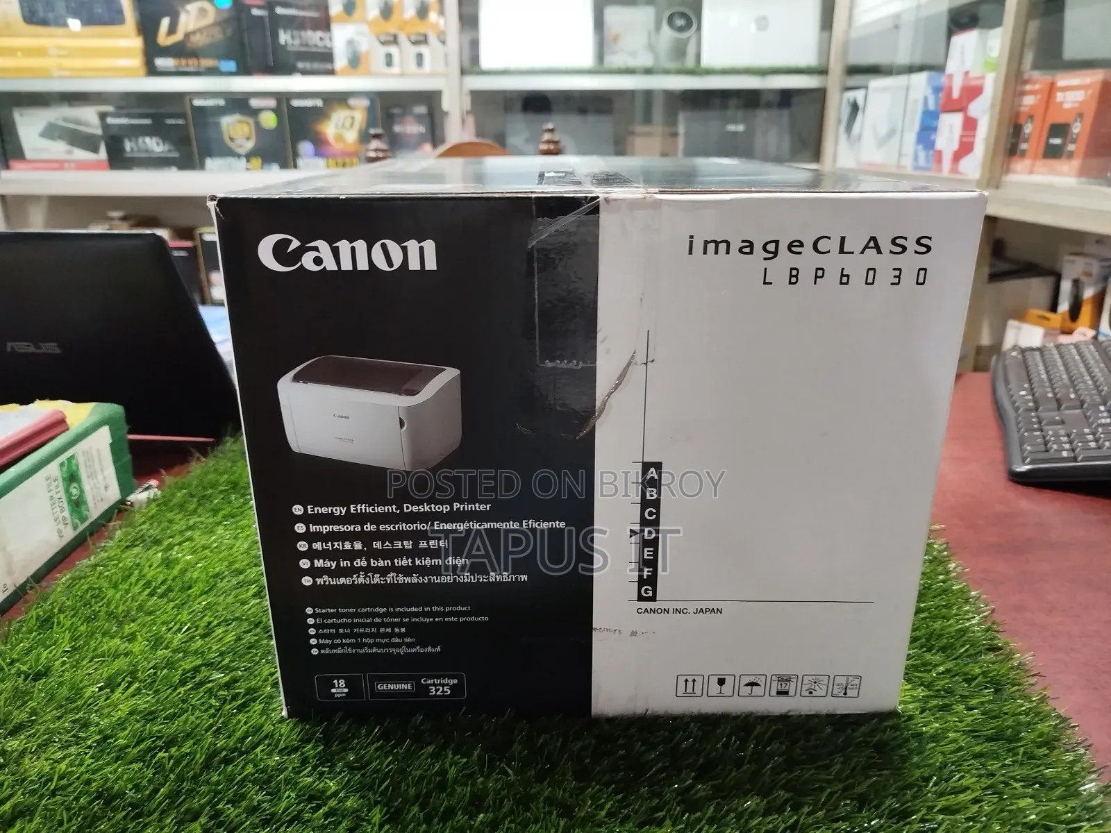 Printer Canon Image Class LBP6030