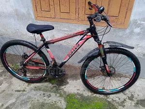 Aluminum Body Geared Bicycle