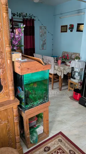 3 Bedroom Apartment in Mohammadpur for Rent