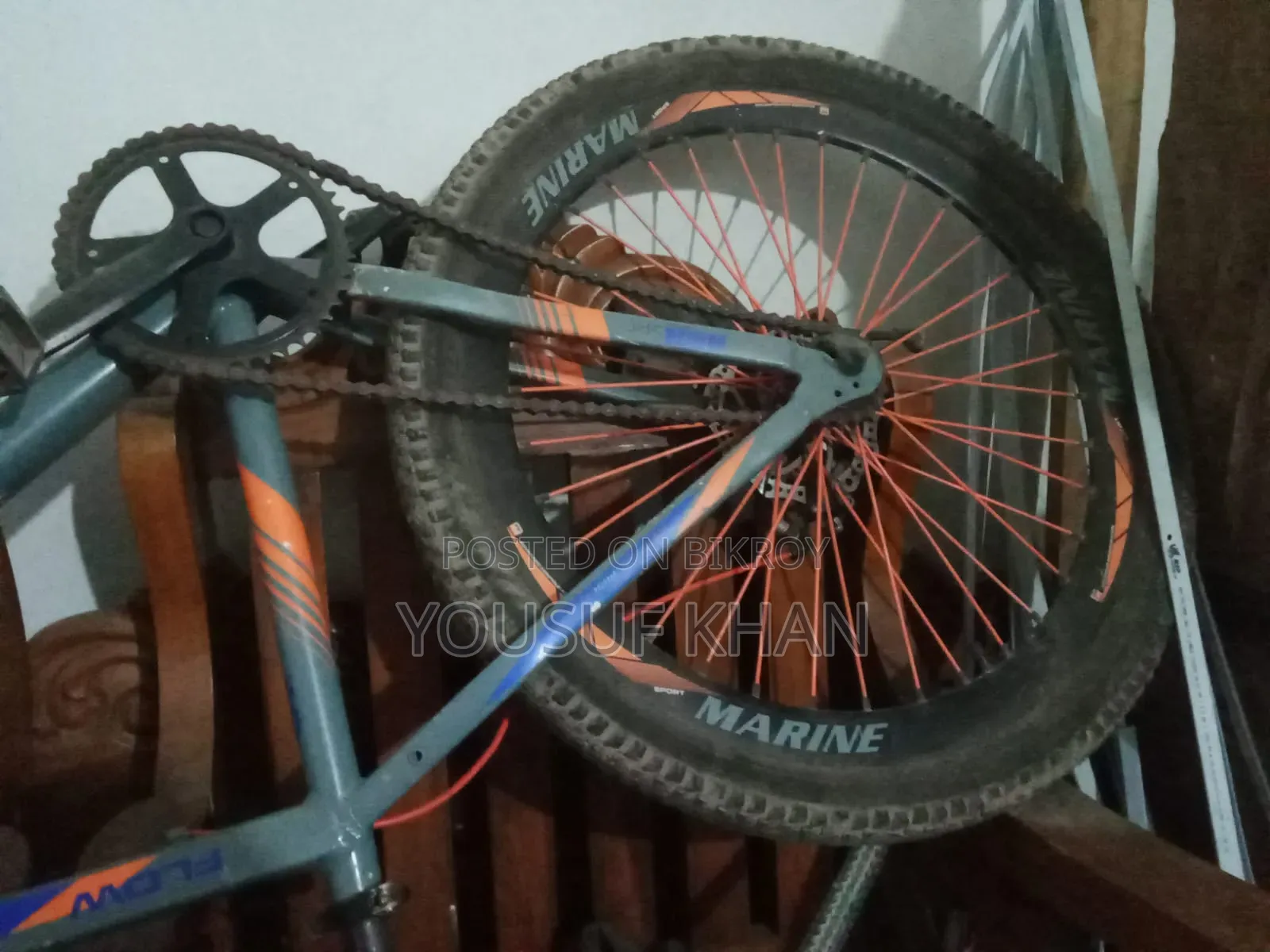 Marine Bicycle