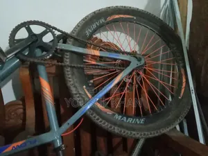 Marine Bicycle